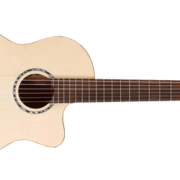 Nylon String Guitar