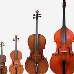 Orchestral String Instruments