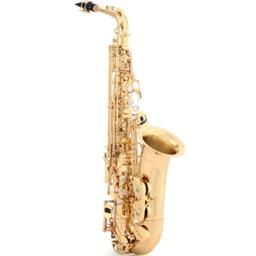 Yanagisawa AW01 Pro Model Alto Saxophone