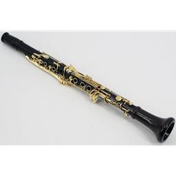 Backun BCLBFG-GK Model F Bb Grenadilla Clarinet with Gold Keys