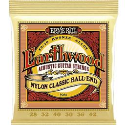 Ernie Ball EB2069 Earthwood Folk Strings
