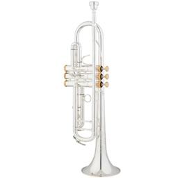 Eastman ETR520GS Performance Silver Bb Trumpet, Gold Trim
