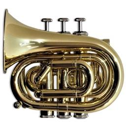 Carol Brass CPT-1000-YSS-L 6.8" Brass Lacquer Pocket