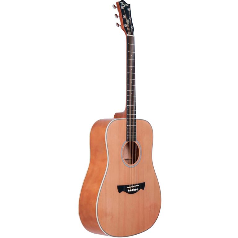 Tagima TW-25EQ-NTS-DREADNOUGHT Guitar