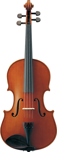 viola 11 inch